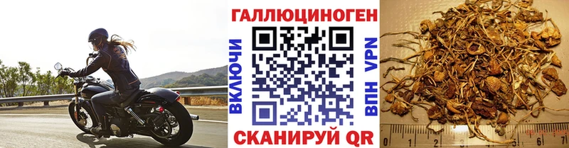 кракен рабочий сайт  цена   Ковров  Псилоцибиновые грибы прущие грибы 